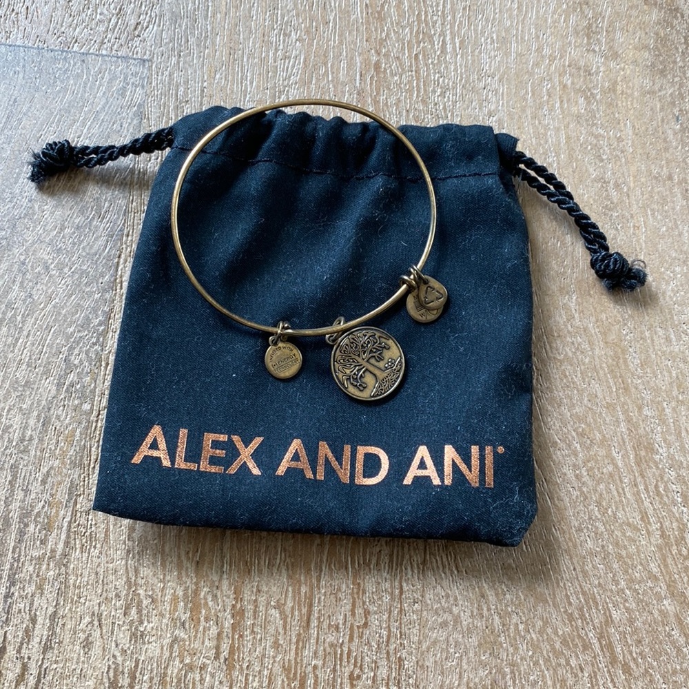 Alex and Ani bracelet